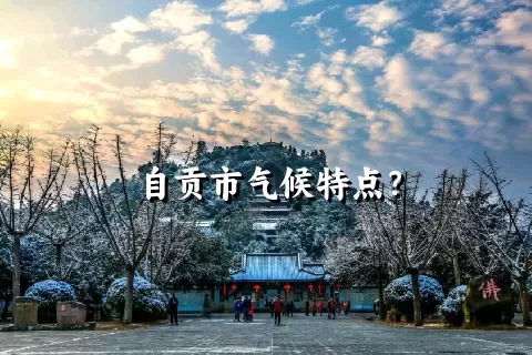 自贡市气候特点？