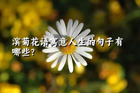 滨菊花语寓意人生的句子有哪些？