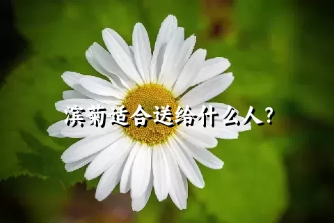 滨菊适合送给什么人？