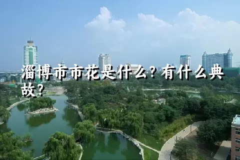 淄博市市花是什么？有什么典故？