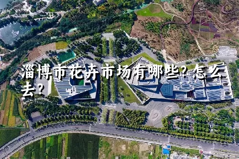 淄博市花卉市场有哪些？怎么去？