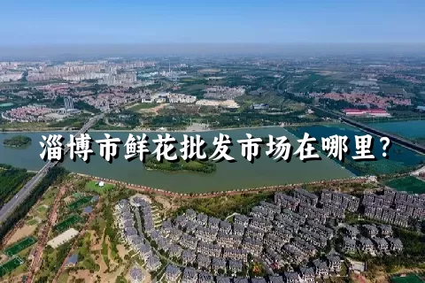 淄博市鲜花批发市场在哪里？