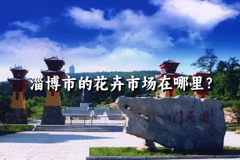 淄博市的花卉市场在哪里？