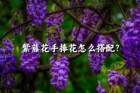 紫藤花手捧花怎么搭配？