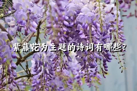 紫藤花为主题的诗词有哪些？