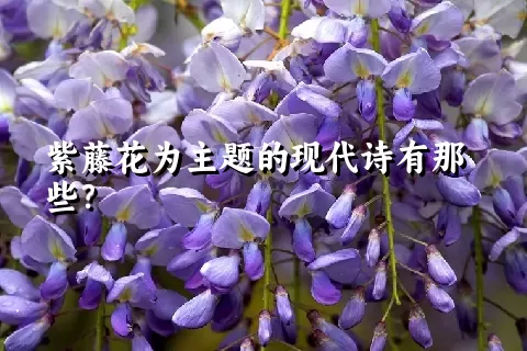 紫藤花为主题的现代诗有那些？