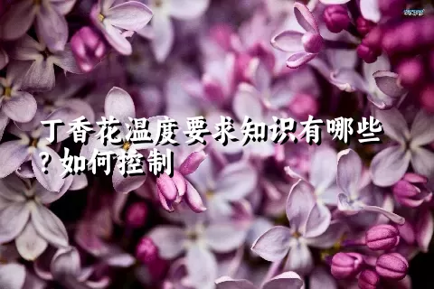 丁香花温度要求知识有哪些？如何控制