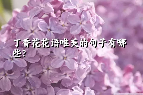 丁香花花语唯美的句子有哪些？