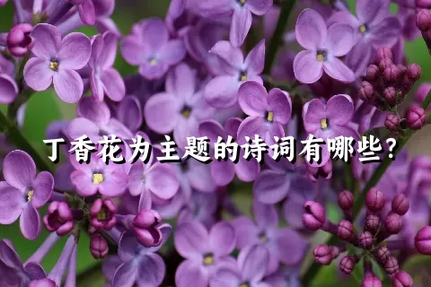 丁香花为主题的诗词有哪些？