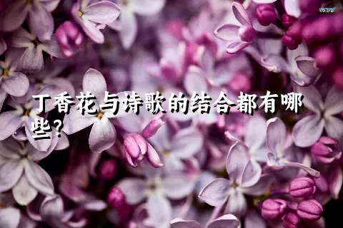 丁香花与诗歌的结合都有哪些？