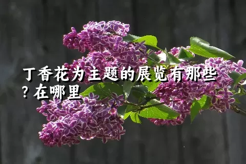 丁香花为主题的展览有那些？在哪里