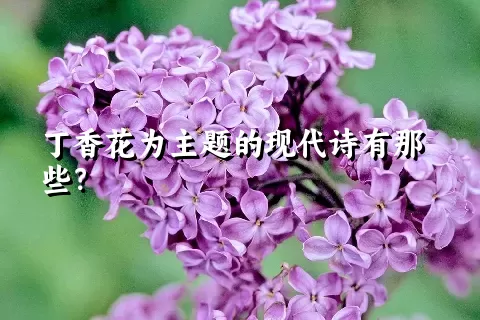 丁香花为主题的现代诗有那些？