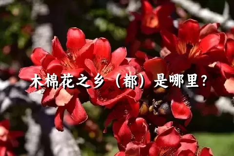 木棉花之乡（都）是哪里？