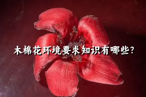 木棉花环境要求知识有哪些？