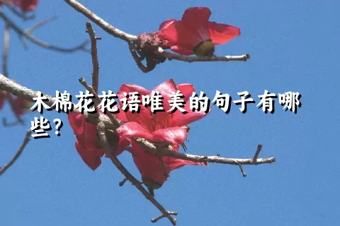 木棉花花语唯美的句子有哪些？