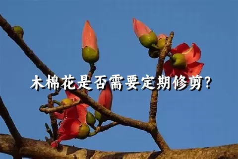 木棉花是否需要定期修剪？