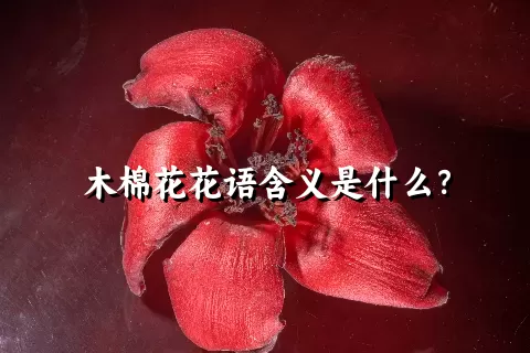 木棉花花语含义是什么？