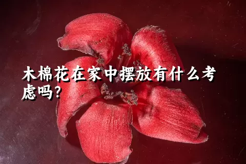 木棉花在家中摆放有什么考虑吗？