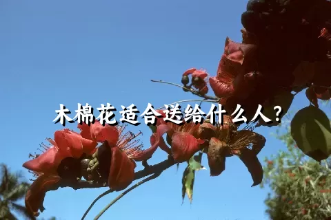 木棉花适合送给什么人？