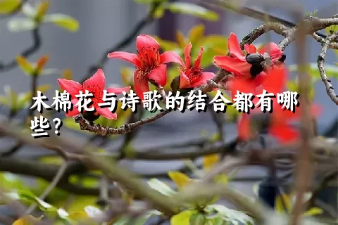 木棉花与诗歌的结合都有哪些？