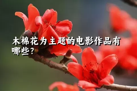 木棉花为主题的电影作品有哪些？