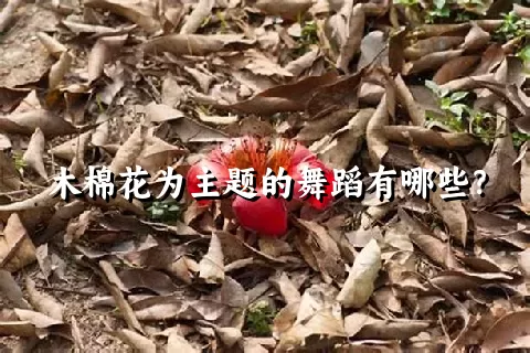 木棉花为主题的舞蹈有哪些？