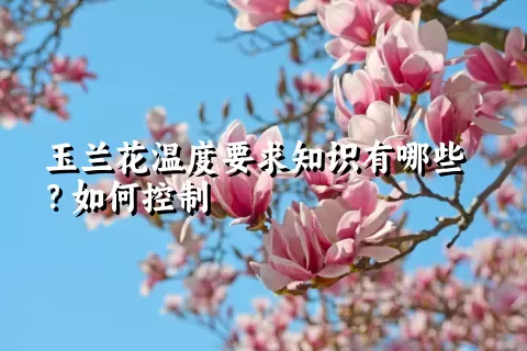 玉兰花温度要求知识有哪些？如何控制