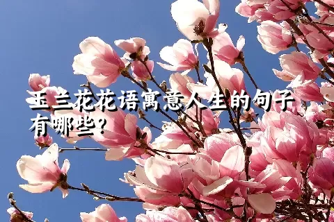 玉兰花花语寓意人生的句子有哪些？