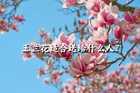 玉兰花适合送给什么人？