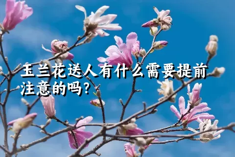 玉兰花送人有什么需要提前注意的吗？