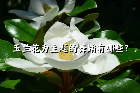 玉兰花为主题的舞蹈有哪些？