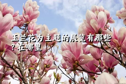 玉兰花为主题的展览有那些？在哪里