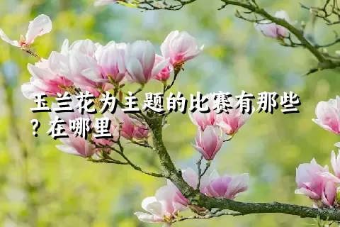 玉兰花为主题的比赛有那些？在哪里