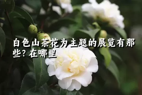 白色山茶花为主题的展览有那些？在哪里