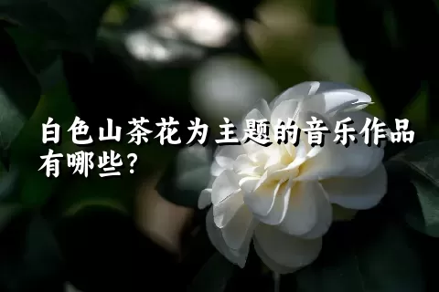 白色山茶花为主题的音乐作品有哪些？