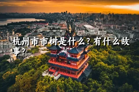 杭州市市树是什么？有什么故事？