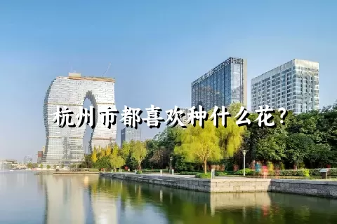 杭州市都喜欢种什么花？