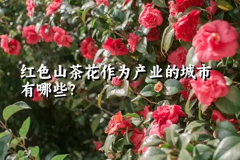 红色山茶花作为产业的城市有哪些？