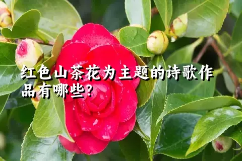 红色山茶花为主题的诗歌作品有哪些？