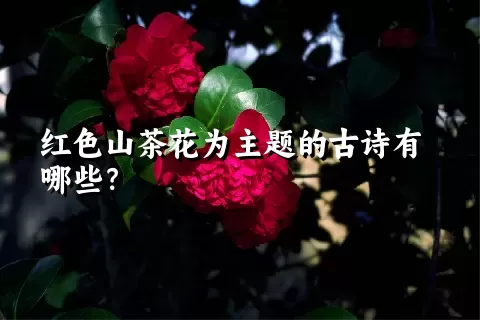 红色山茶花为主题的古诗有哪些？