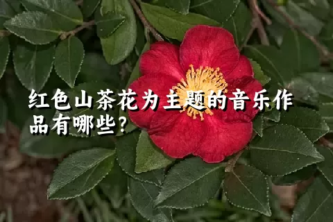 红色山茶花为主题的音乐作品有哪些？