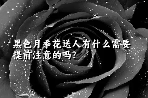 黑色月季花送人有什么需要提前注意的吗？