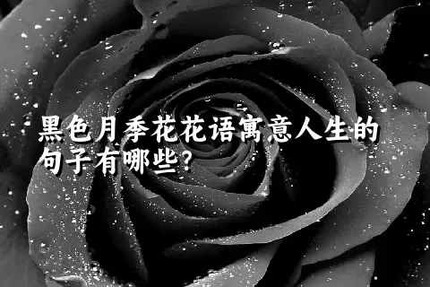 黑色月季花花语寓意人生的句子有哪些？