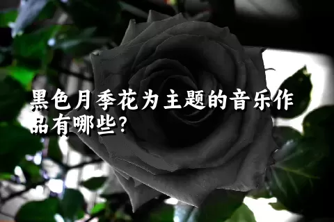 黑色月季花为主题的音乐作品有哪些？