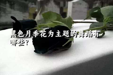 黑色月季花为主题的舞蹈有哪些？