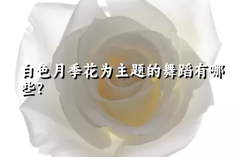 白色月季花为主题的舞蹈有哪些？