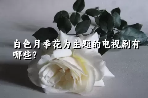 白色月季花为主题的电视剧有哪些？