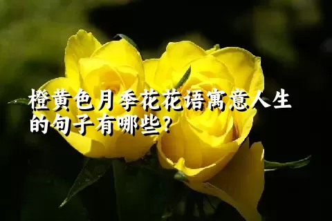 橙黄色月季花花语寓意人生的句子有哪些？