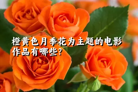 橙黄色月季花为主题的电影作品有哪些？