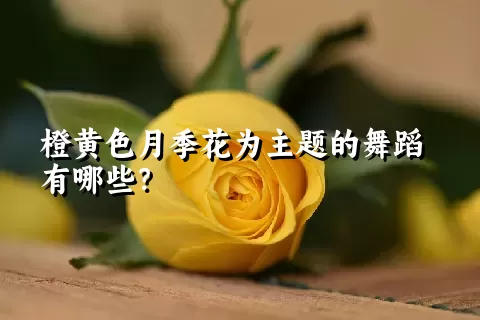 橙黄色月季花为主题的舞蹈有哪些？